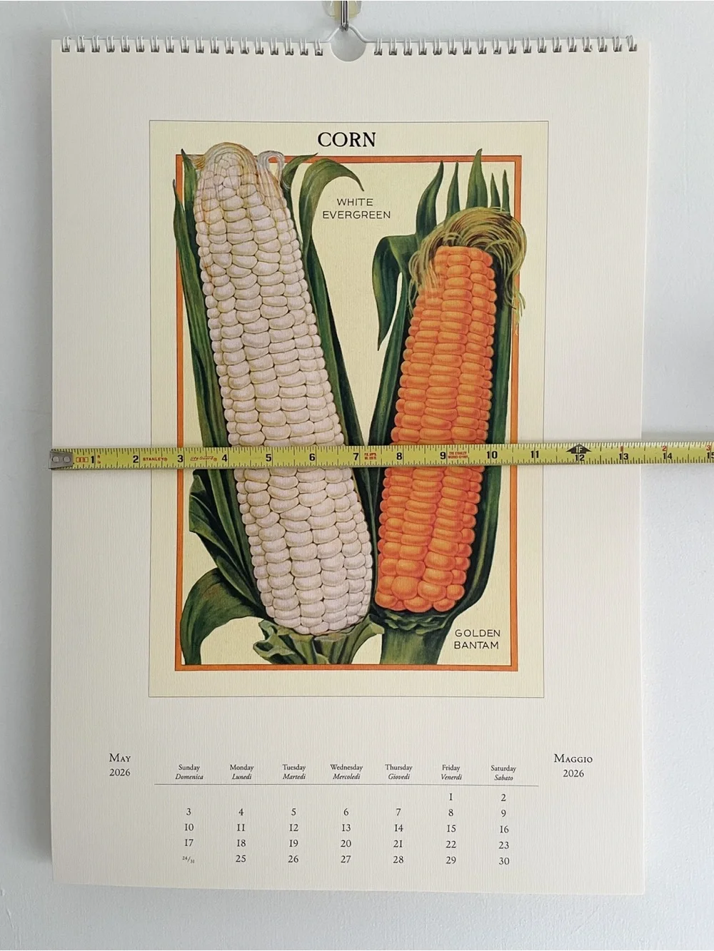 Cavallini 2026 Farmers Market Wall Calendar Vintage Botanical Vegetable Art NEW